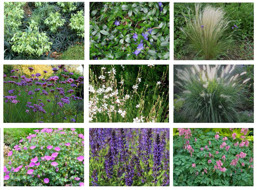 GROW_Alexanderpoort_beplanting_LR